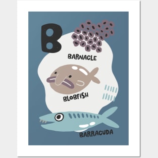 B Barracuda Blobfish Barnacle Posters and Art